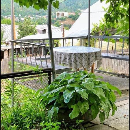 Achela'S Guesthouse Borjomi Εξωτερικό φωτογραφία