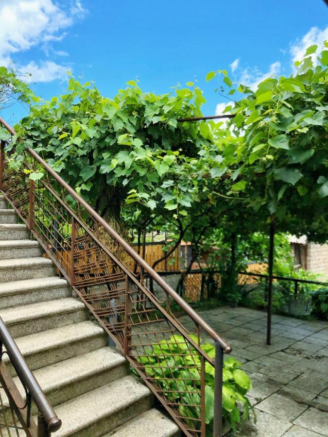Achela'S Guesthouse Borjomi Εξωτερικό φωτογραφία