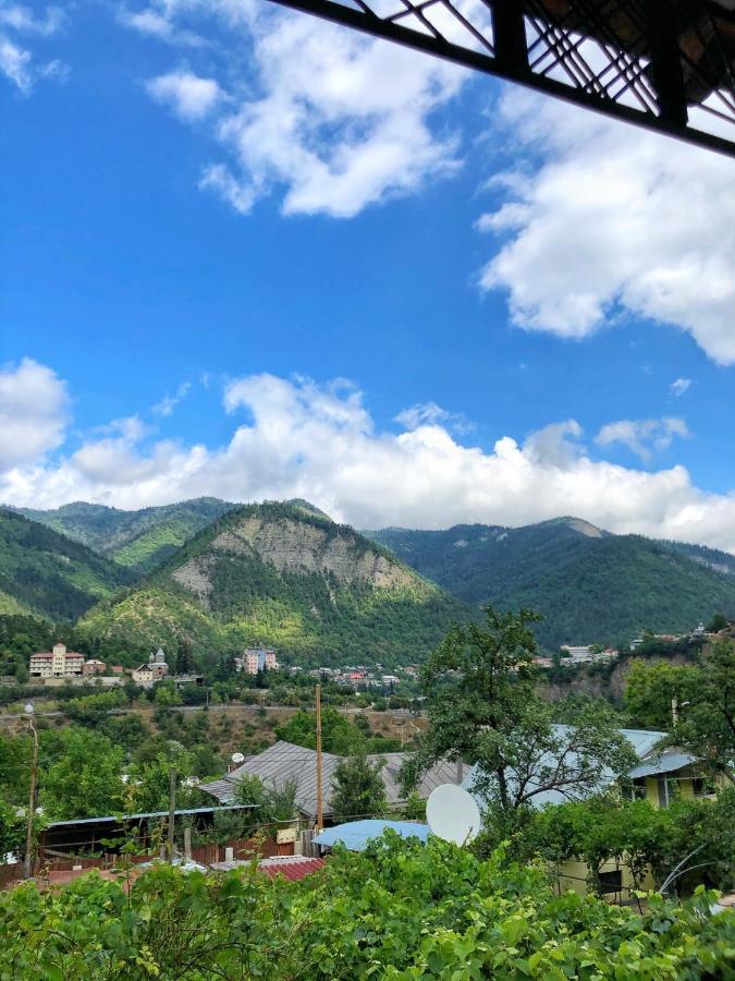 Achela'S Guesthouse Borjomi Εξωτερικό φωτογραφία