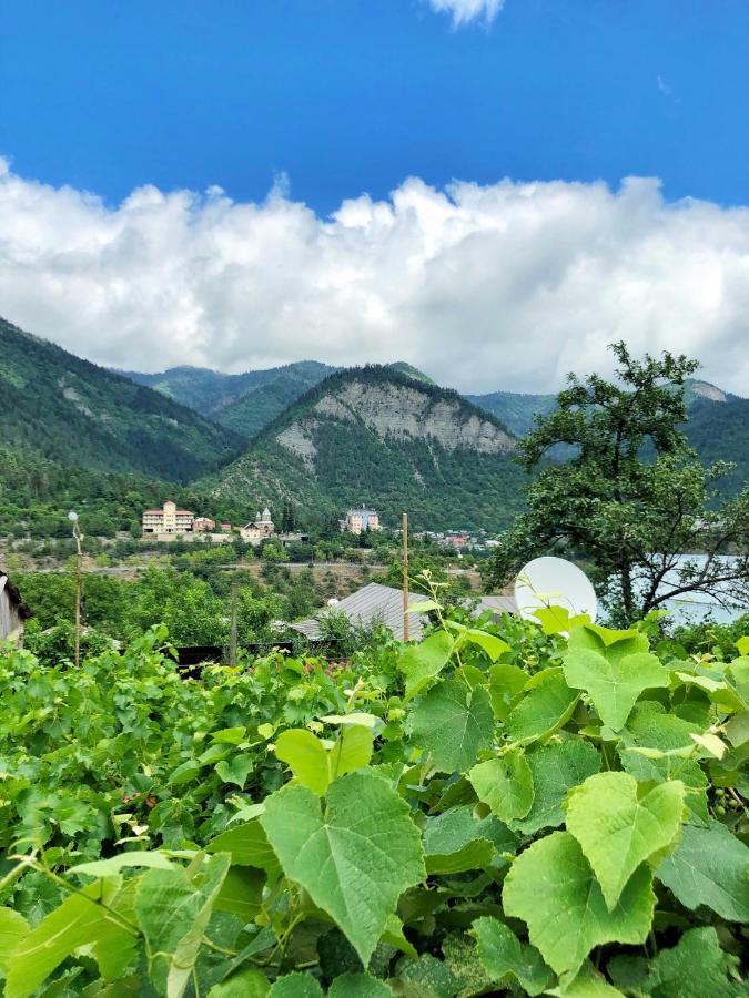Achela'S Guesthouse Borjomi Εξωτερικό φωτογραφία