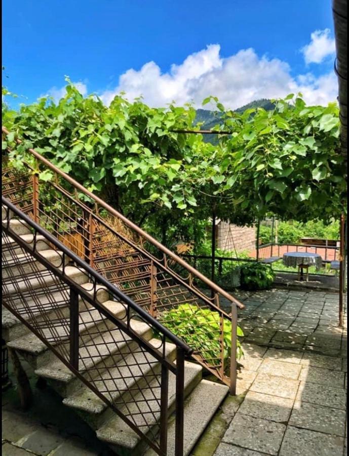 Achela'S Guesthouse Borjomi Εξωτερικό φωτογραφία