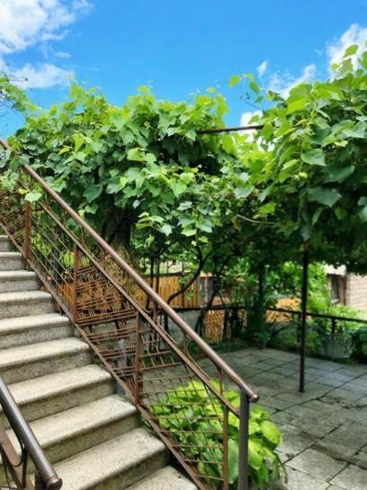 Achela'S Guesthouse Borjomi Εξωτερικό φωτογραφία