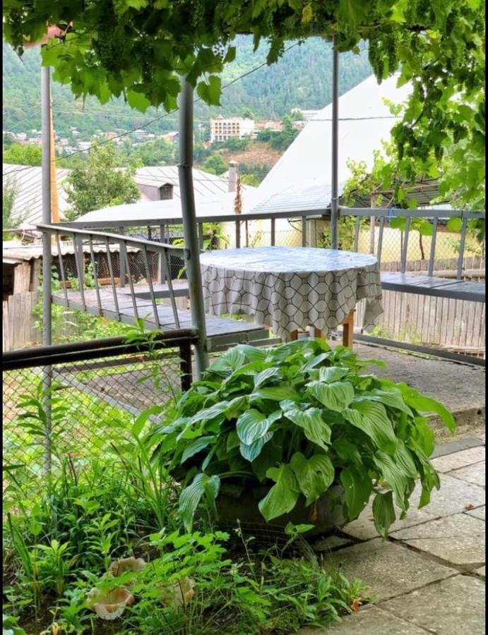 Achela'S Guesthouse Borjomi Εξωτερικό φωτογραφία