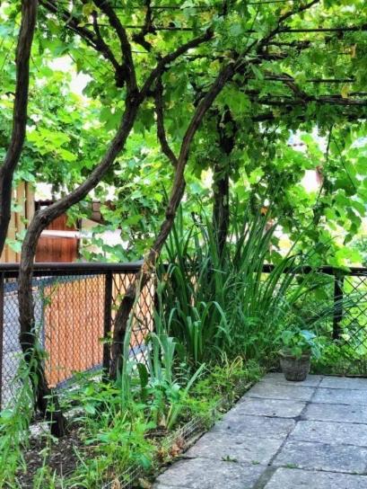 Achela'S Guesthouse Borjomi Εξωτερικό φωτογραφία